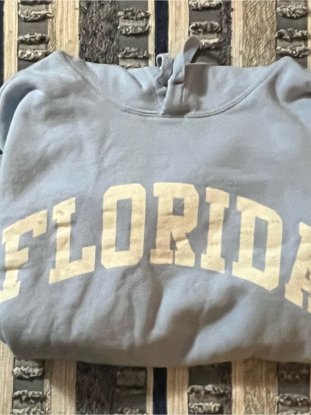 Full Tilt Light Blue Florida Hoodie